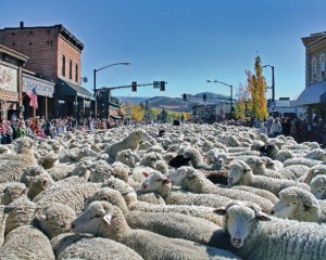 Idaho-trailing-of-the-sheep-event