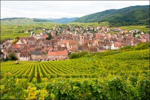 alsace-wines-France