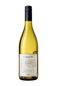 Wine review Bodega Garzon 2014 Albarino Uruguay