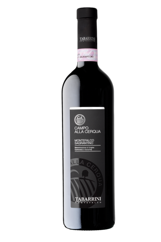 tabarrini montefalco sagrantino wine reviews