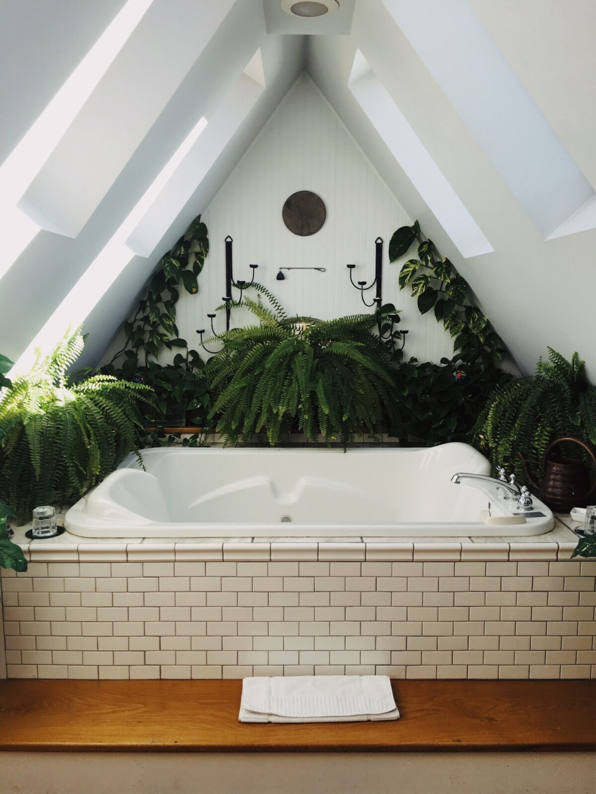 destress bathtub with plants