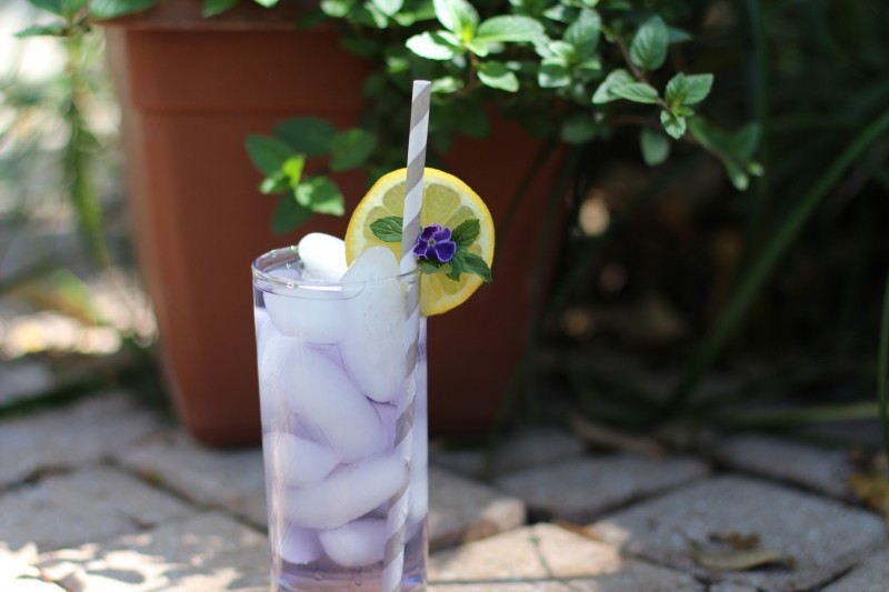 lavender cocktail recipe gin vodka